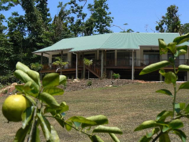 Yamacutta Rainforest Lodge - view from the tropical fruit orchard
