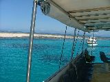 Reef trips with Quickcat Scuba
